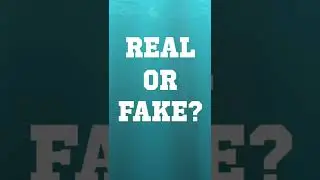 Real or Fake Animal Short 5