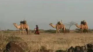 Nick Sanders Parallel World - Camels