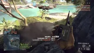Battlefield 4 SR338 Unlock