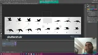 photoshop CS6 -ANIMATION OF FLYING BIRD
