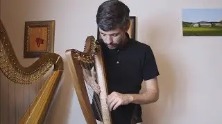 Looper pedals! Exploring electric harps part 2 - Harp Tuesday ep. 112