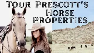 🐎Tour the Best Places in Prescott for Horses and Farm Animals!
