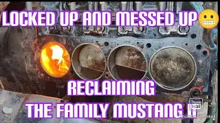 Classic mustang II! Engine seized won't run😭 Locked up hard and transmission issues 😬