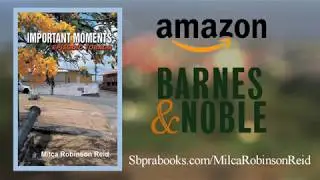 Important Moments By Milca Robinson Reid