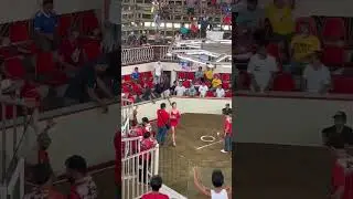 Rooster Fight in Cuenca Batangas #zakirpchef #janshoney #shorts #philippines #rooster