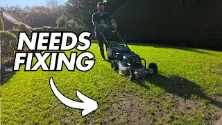 How To Fix Lawn BARE Patches With Ease!