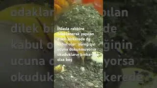 Rabbine g&uuml;zel mucizelerine odaklan &ouml;yle dua et