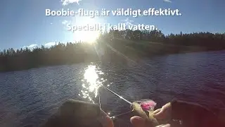 &Ouml;ppet vatten i januari 2022! Boobieteknik, flugfiske i &ouml;ppet vatten, fisk p&aring; f&ouml;rsta kastet.+3 grader
