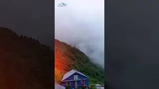 nature love from 🌲Nepal