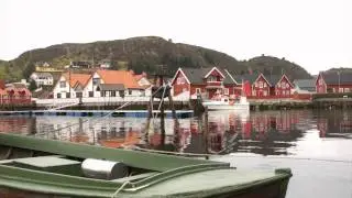 Kalv&aring;g an der Fjord-K&uuml;ste Norwegens