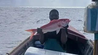 First day deep sea fishing 