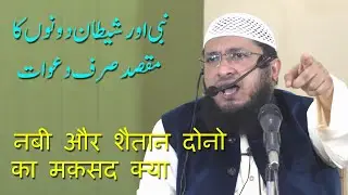 Nabi Aur Shitaan Doono Ka Maqsad Sirf Dawaat By Moulana Hafiz Javed Usman Rabbani