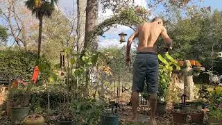 The Unwinding | 11.20.25 | Spontaneous Somatic Healing | Kundalini | Qi Gong | CTE | Neuroplasticity