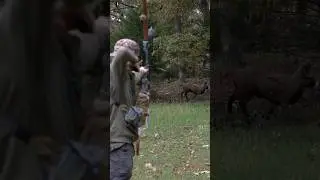 Archery Therapy. #archery #asmr #bowhunt #hunt #archer #bows #bow #recurve #trad #thepusharchery #w