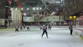 AHL - WIHO vs Loong (03 02 2026)
