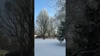 Best nature video #travel #tour #snow #explore #trending #nature #traveltrip #viralvideo ￼