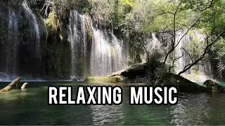 Wonderful Relaxing Music | Mind Relaxing Music | Relaxing Music For Mind | TRACK@PRIMANIA