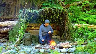 Solo Survival Shelter Overnight with minimal gear
