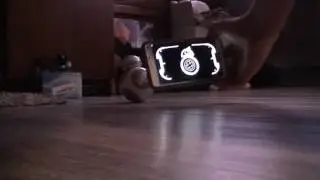 BB 8