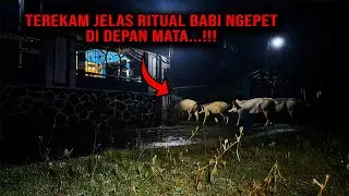 TEREKAM JELAS...!!! TAK DISANGKA RUMAH MEWAH INI MELAKUKAN PESUGIHAN TUYUL DAN BABI NGEPET