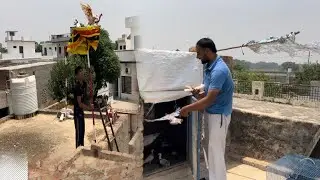 Mera Kise Ny Ek vi Kabootar Wps Ni Karyea || Nmma Kabootar Ayea😲#punjabivlogs #punjabpets