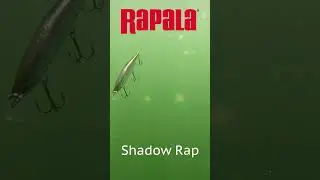 Rapala Lures