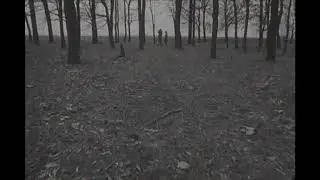 FRED - Turquoise (snippet)