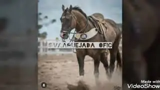 meu tio core vaquejada(2)