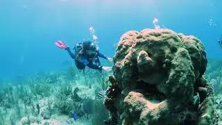 SCUBALAB RIO