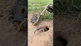 New Technique DIY Snake Trap make Using Bicycle pedals #Installtrap #whatsappstatus #installtool