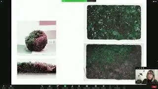 ISVIS2022: Responsive plants as a vis of human-ecology interaction / Nirit Binyamini Ben-Meir
