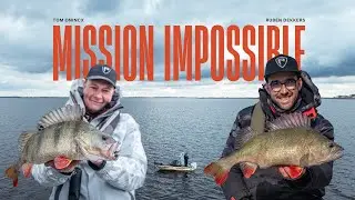 Ruben en Tom gaan voor dikke 40+ baarzen! | Mission Impossible
