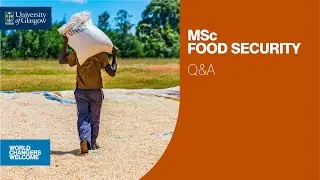 MSc Food Security Q&A - University of Glasgow