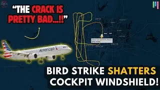 (Breaking) Cockpit Windshield Cracked by Bird Strike | Emergency Landing at DFW #atc