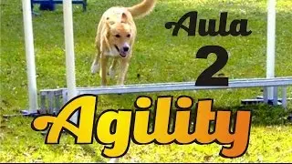 Vídeo aula - Agility 02