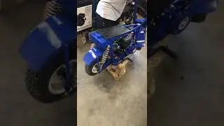 1970's Montgomery Ward Mini Bike