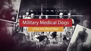 Military Medical Dogs from WW1 & 2