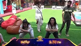 Captaincy Task Win Flora | Bigg Boss 9Telugu Today Latest Promo | #biggboss9telugu #bb9telugu #bb9