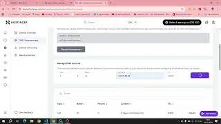 DNS name settings