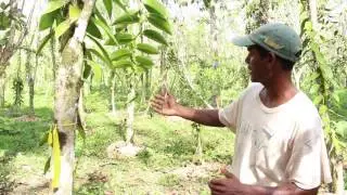 Bel Campo Resort Flavor Gardens
