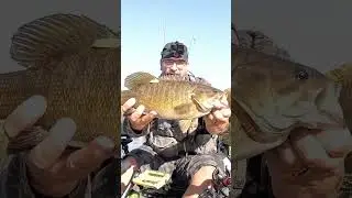 Smallie Livin!! 🐟🎣 [Milwaukee River]