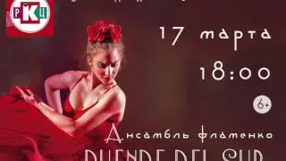 Студия испанского танца &laquo;Duende del sur&raquo;