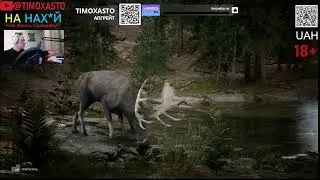 Марафон симуляторів на каналі TIMOXASTO!