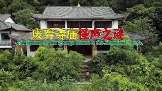 4K（第271集）废弃寺庙怪声之谜.The Mystery of the Strange Sounds in the Abandoned Temple.
