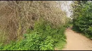 Athagada 3 acre Agriculture Land ( 9090924238 )