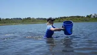 Natural Resources Department: First Oyster Reef Restoration Project