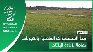 المغير- ربط المستثمرات الفلاحية بالكهرباء.. دعامة لزيادة الإنتاج