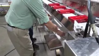 Conveyor Packing Station by Nercon