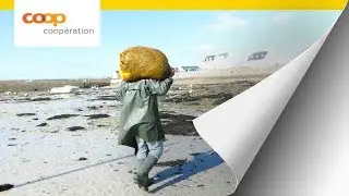 R&eacute;colte d'algues sauvages