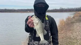 Cold Swim-jig Bassin